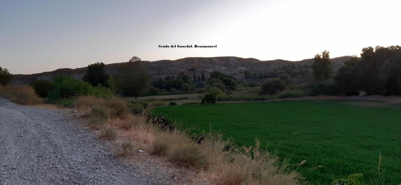 Cuevas Lourdes Villa Benamaurel Dış mekan fotoğraf